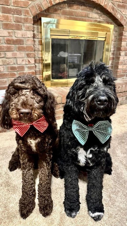 Dog Collar Bowties